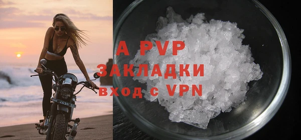 индика Касимов