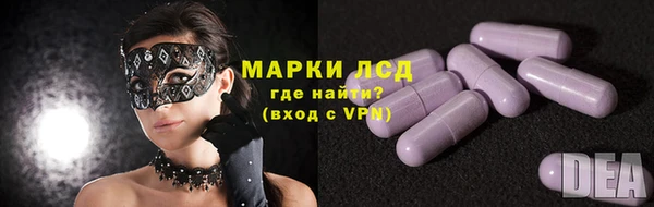 индика Касимов