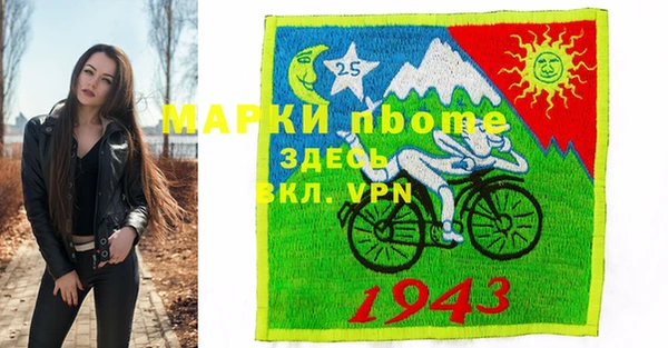 индика Касимов