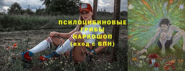 apvp Карталы