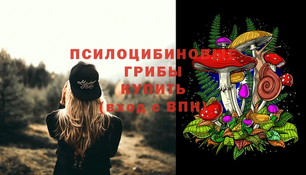 прущие крисы Карпинск