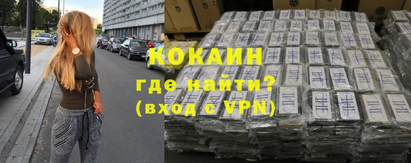 индика Касимов