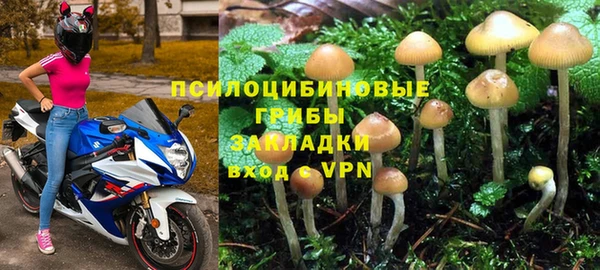 прущие крисы Карпинск