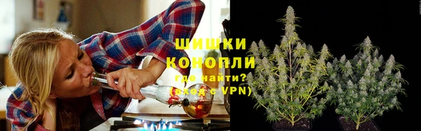 индика Касимов