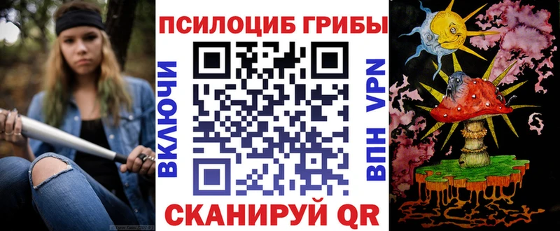 Галлюциногенные грибы Psilocybe  Мытищи 