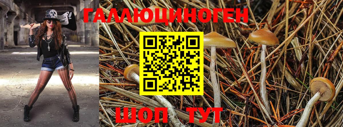 Галлюциногенные грибы GOLDEN TEACHER Мытищи